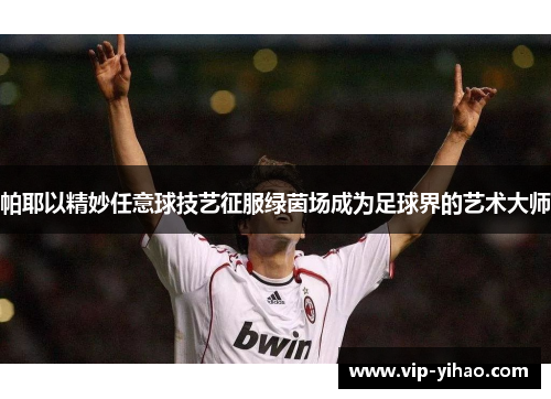 帕耶以精妙任意球技艺征服绿茵场成为足球界的艺术大师