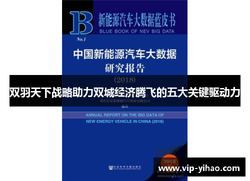 双羽天下战略助力双城经济腾飞的五大关键驱动力