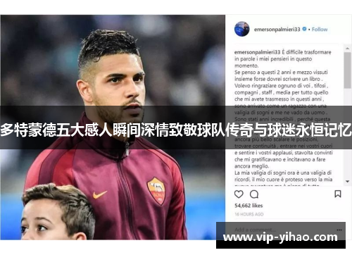 多特蒙德五大感人瞬间深情致敬球队传奇与球迷永恒记忆