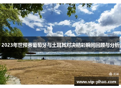 2023年世预赛葡萄牙与土耳其对决精彩瞬间回顾与分析
