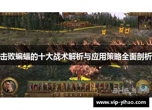 击败蝙蝠的十大战术解析与应用策略全面剖析