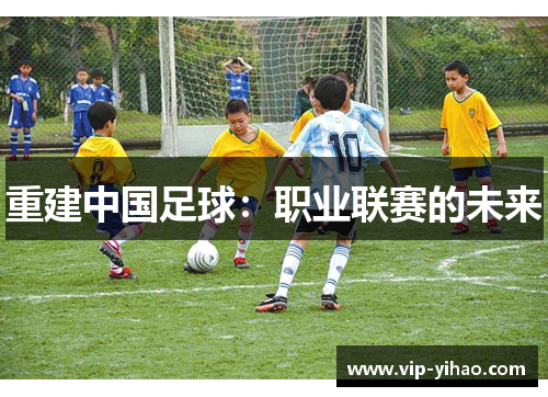 重建中国足球:职业联赛的未来