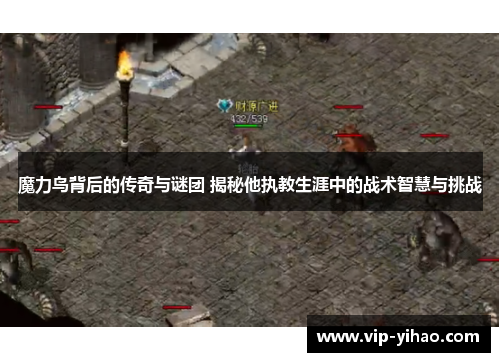 魔力鸟背后的传奇与谜团 揭秘他执教生涯中的战术智慧与挑战