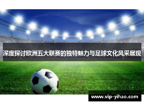 深度探讨欧洲五大联赛的独特魅力与足球文化风采展现